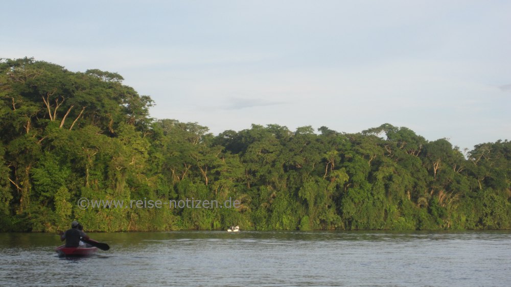 Um Tortuguero