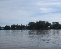 2010 New York - Panama - Costa Rica - Nicaragua &raquo; Tortuguero