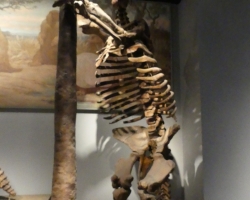 2015 USA Mittelmerkika Karibik &raquo; 2015 USA Chicago