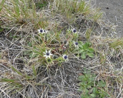 2009 Costa Rica - Nicaragua &raquo; Vulkan_Irazu
