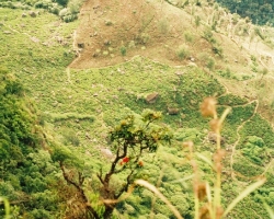  2003 Indien - Sri Lanka &raquo; Worlds_End