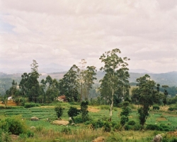  2003 Indien - Sri Lanka &raquo; Worlds_End