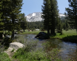 2017 Südwest USA &raquo; Yosemite NP