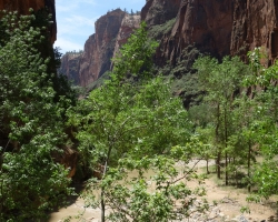 2017 Südwest USA &raquo; Zion NP