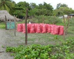 2015 USA Mittelmerkika Karibik &raquo; 2015 Nicaragua