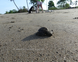 2015 USA Mittelmerkika Karibik &raquo; 2015 Nicaragua