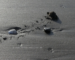 2015 USA Mittelmerkika Karibik &raquo; 2015 Nicaragua