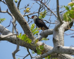 2015 USA Mittelmerkika Karibik &raquo; 2015 Kolumbien: Santa Marta